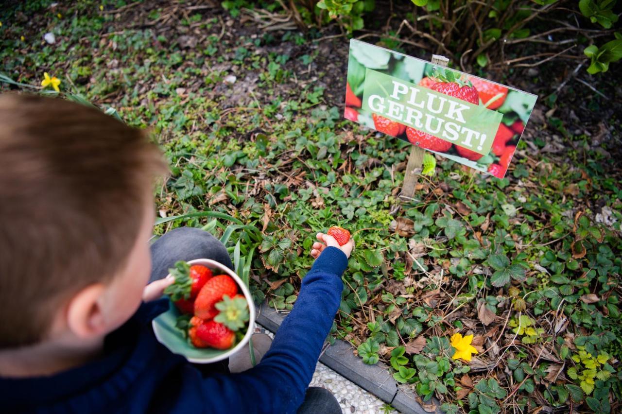 De Vlindertuin Lejlighed Nes  Eksteriør billede